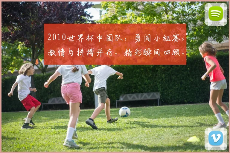 2010世界杯中国队，勇闯小组赛，激情与拼搏并存，精彩瞬间回顾，不容错过
