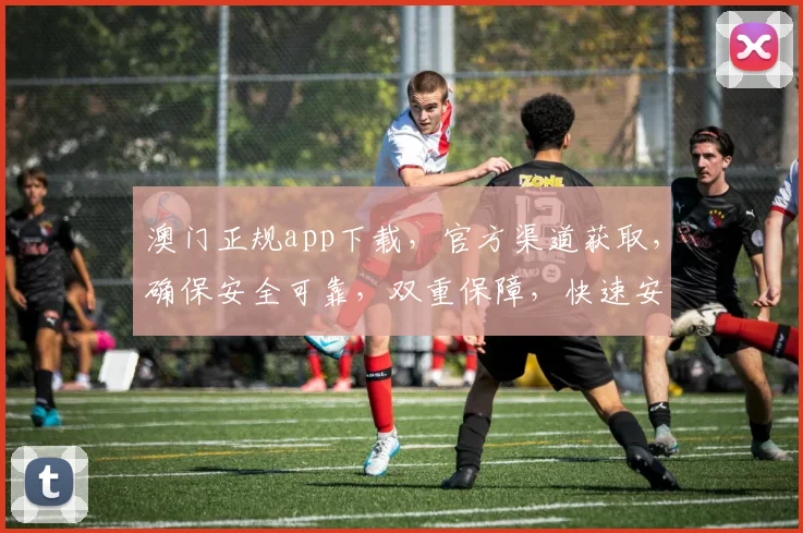 澳门正规app下载，官方渠道获取，确保安全可靠，双重保障，快速安装
