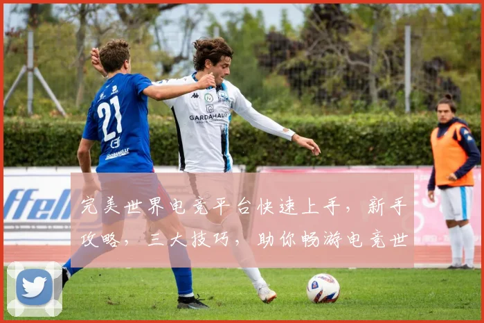 完美世界电竞平台快速上手，新手攻略，三大技巧，助你畅游电竞世界，轻松上分