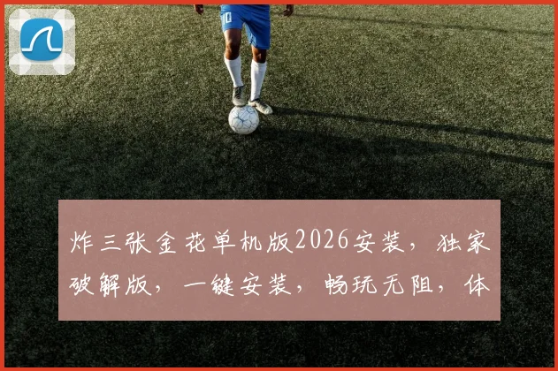 炸三张金花单机版2026安装，独家破解版，一键安装，畅玩无阻，体验极致娱乐