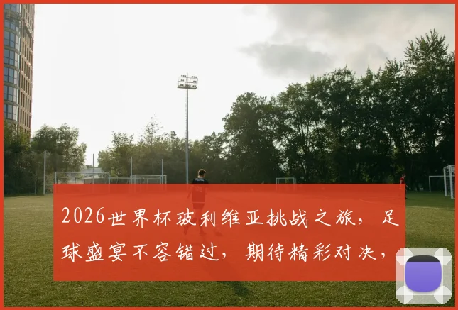 2026世界杯玻利维亚挑战之旅，足球盛宴不容错过，期待精彩对决，你准备好了吗